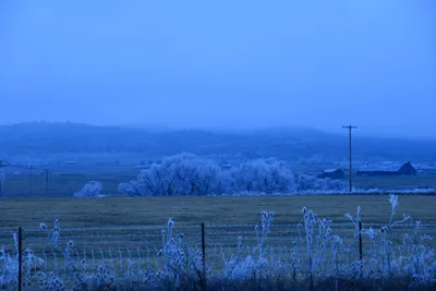 DSC_1118 (Large).JPG